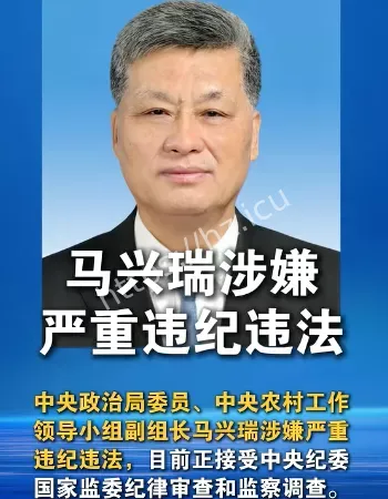 马兴瑞被罢免