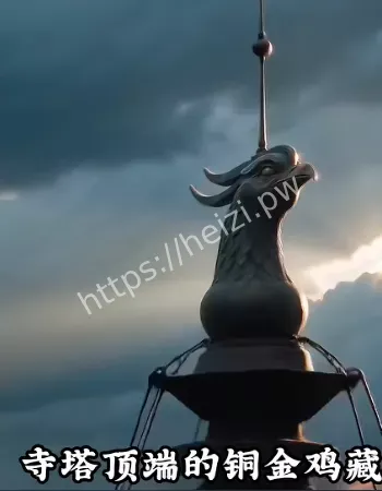 749局绝密档案